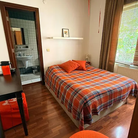 Designer Townhouse In Arnavutkoey, On The Bosphorus イスタンブール