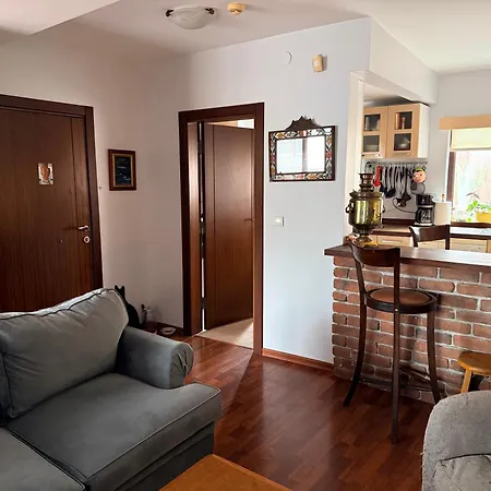 Designer Townhouse In Arnavutkoey, On The Bosphorus アパート