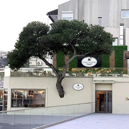 Designer Townhouse In Arnavutkoey, On The Bosphorus イスタンブール
